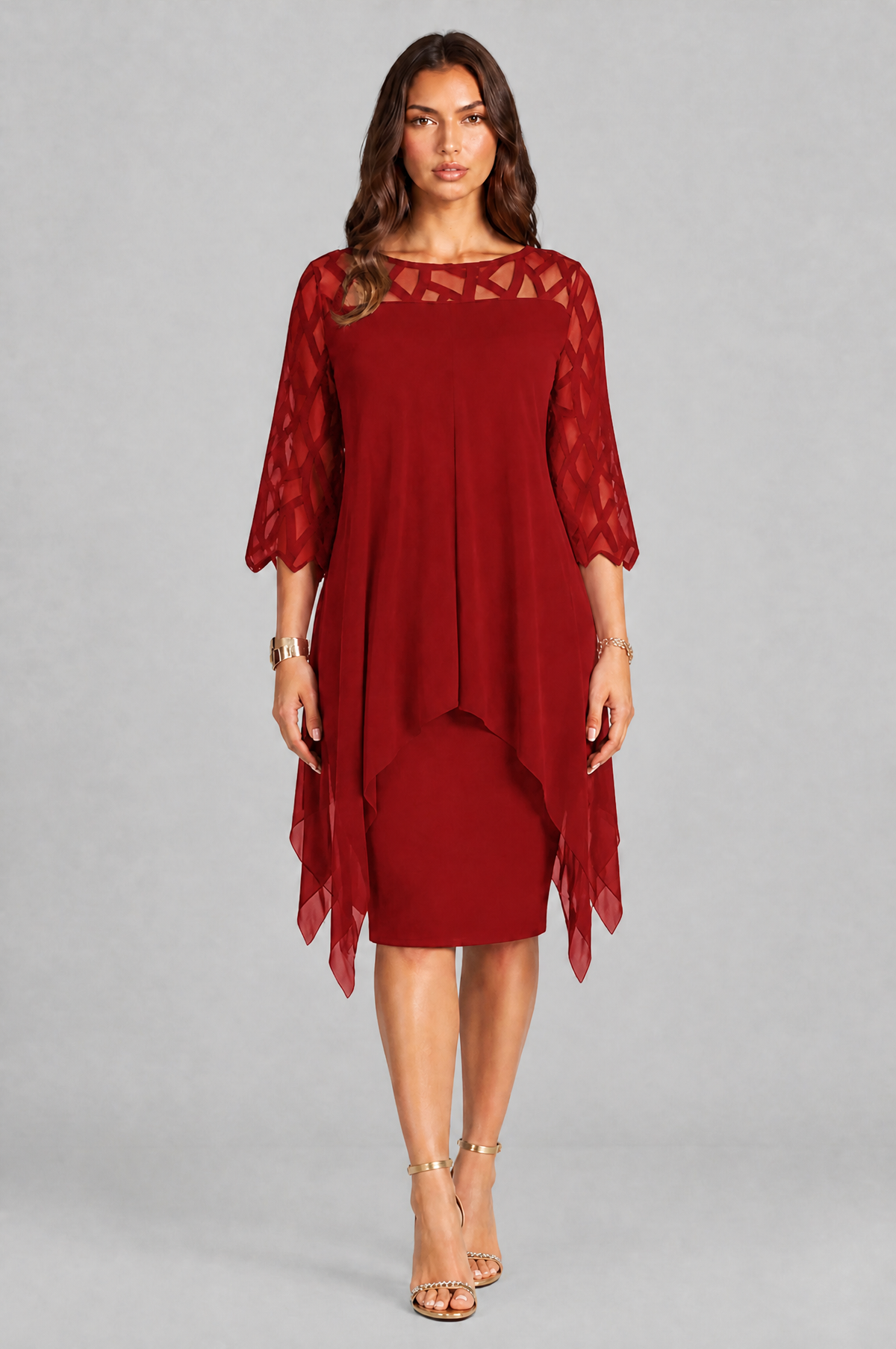 Layered Overlay Dress with Mesh Sleeves Audrey Calvero